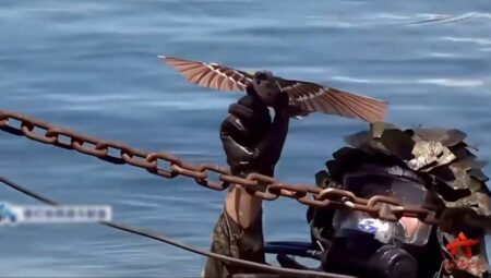 Çin Kuş Gibi Görünen Drone Üretti!