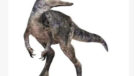 Yeni Dinozor Türü Listeye Eklendi: Ejderha Prensi