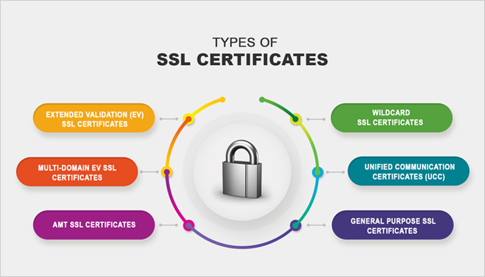 SSL Ne Anlama Geliyor?