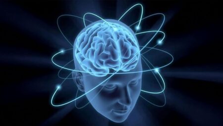 🧠 Duygusal Anılar Beyne Nasıl Kazınıyor? Bilim İnsanları Cevabı Buldu