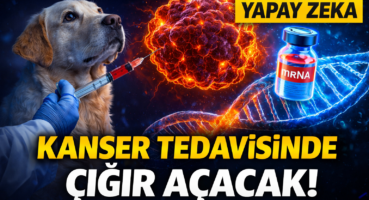 köpek ai