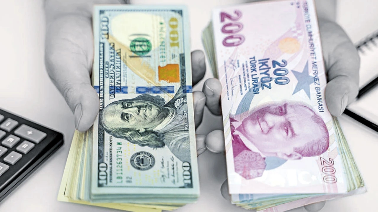 dolar tl 2
