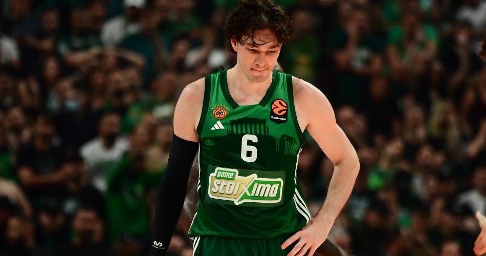 cedi osman