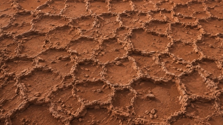 mars yaşam