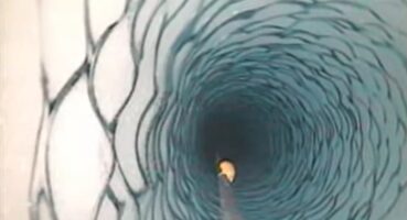 Antarktika’da 183 Metre Derine İnen Kamera Kimsenin Beklemediği Bir Şey Buldu