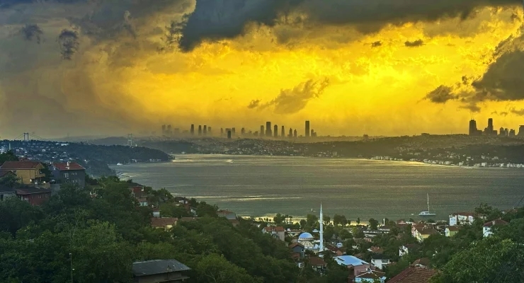 sarı kod